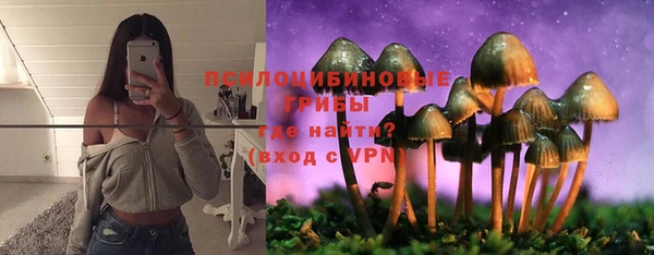 круглые Карталы