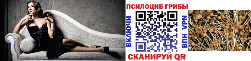 Купить закладки  Карабулак  Псилоцибиновые грибы Psilocybe 