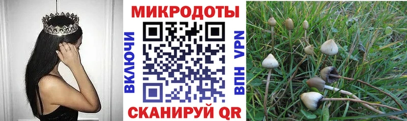 Галлюциногенные грибы Cubensis Карабулак